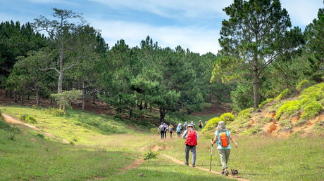 What to Pack for a Day Hike: Gear, Food, and Safety Must-Haves!