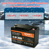 Qidianfy 12V 30Ah LiFePO4 Lithium Battery