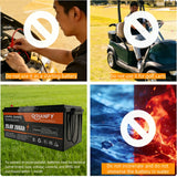 Qidianfy 24V 200Ah LiFePO4 Lithium Battery | 100A BMS