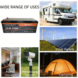 Qidianfy 24V 314Ah LiFePO4 Lithium Battery | Bluetooth