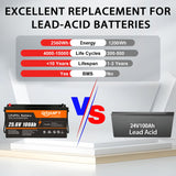 Qidianfy 24V 100Ah LiFePO4 Lithium Battery